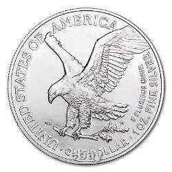 10 pcs 2024 American Eagle 1oz Silver Bullion Coins Brilliant Uncirculated Tube