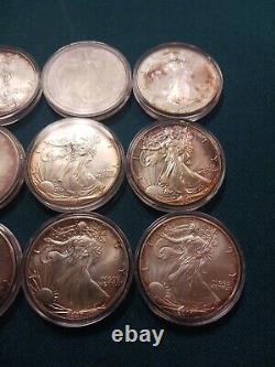 1987 1995 American. 999 Silver Eagles lot of 9 toned Rainbow 2001