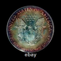 1987 American Silver Eagle GORGEOUS Terminal COMET? TONED PCGS MS68