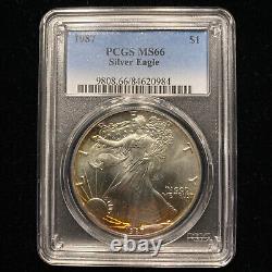 1987 American Silver Eagle PCGS MS66 Toned Color Bullion Toning