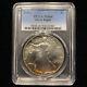 1987 American Silver Eagle PCGS MS66 Toned Color Bullion Toning