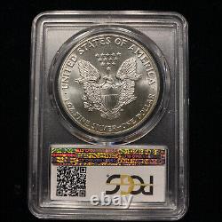 1987 American Silver Eagle PCGS MS66 Toned Color Bullion Toning