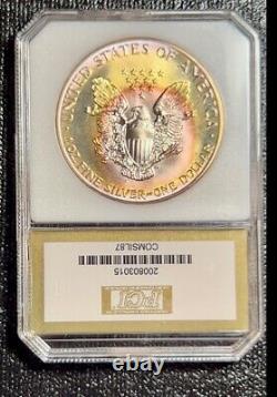 1987 American Silver Eagle PCI Flawless Rainbow Toned Nice Luster
