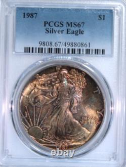 1987 US Silver American Eagle PCGS MS67? COPPER & BRONZE TONING