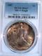 1987 US Silver American Eagle PCGS MS67? COPPER & BRONZE TONING