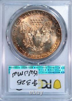 1987 US Silver American Eagle PCGS MS67? COPPER & BRONZE TONING