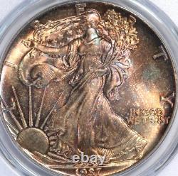 1987 US Silver American Eagle PCGS MS67? COPPER & BRONZE TONING