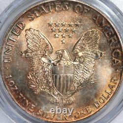 1987 US Silver American Eagle PCGS MS67? COPPER & BRONZE TONING