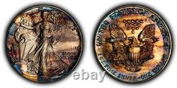 1988 1 oz Silver American Eagle PQ Rainbow Pattern Toning BU SKU-E3456