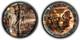 1988 1 oz Silver American Eagle PQ Rainbow Pattern Toning BU SKU-E3456
