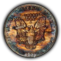 1988 1 oz Silver American Eagle PQ Rainbow Pattern Toning BU SKU-E3456