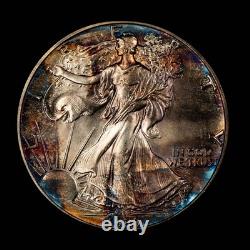 1988 1 oz Silver American Eagle PQ Rainbow Pattern Toning BU SKU-E3456