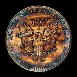 1988 1 oz Silver American Eagle PQ Rainbow Pattern Toning BU SKU-E3456