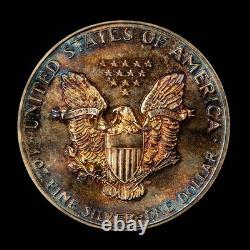 1988 1 oz Silver American Eagle PQ Rainbow Pattern Toning BU SKU-E3456