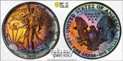 1988 American Silver Eagle Ase Pcgs Unc Detail Qc Rainbow Toned Trueview