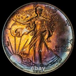 1988 American Silver Eagle Ase Pcgs Unc Detail Qc Rainbow Toned Trueview