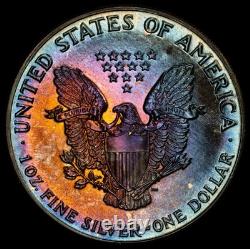 1988 American Silver Eagle Ase Pcgs Unc Detail Qc Rainbow Toned Trueview