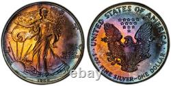 1988 American Silver Eagle Ase Pcgs Unc Detail Qc Rainbow Toned Trueview