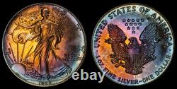 1988 American Silver Eagle Ase Pcgs Unc Detail Qc Rainbow Toned Trueview