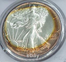 1989 American Eagle 1 oz Silver Dollar PCGS MS68 Toning Toned C491
