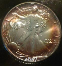 1989 American Eagle Silver Liberty Dollar $1 Naturally Toned Ring