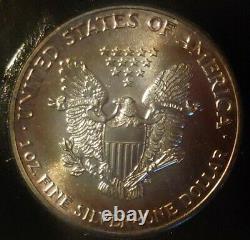 1989 American Eagle Silver Liberty Dollar $1 Naturally Toned Ring