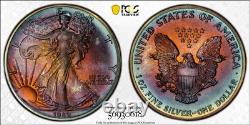 1989 American Silver Eagle Ase Pcgs Unc Detail Qc Rainbow Toned Trueview