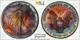 1989 American Silver Eagle Ase Pcgs Unc Detail Qc Rainbow Toned Trueview