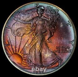 1989 American Silver Eagle Ase Pcgs Unc Detail Qc Rainbow Toned Trueview