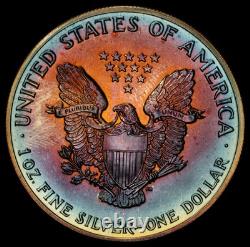 1989 American Silver Eagle Ase Pcgs Unc Detail Qc Rainbow Toned Trueview