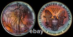1989 American Silver Eagle Ase Pcgs Unc Detail Qc Rainbow Toned Trueview