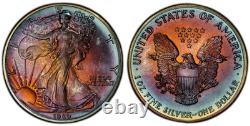 1989 American Silver Eagle Ase Pcgs Unc Detail Qc Rainbow Toned Trueview