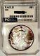 1989 American Silver Eagle Gem BU ++++ Album Toned Rainbow Colors
