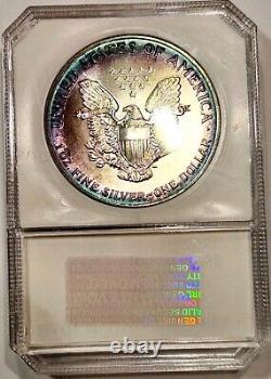 1989 American Silver Eagle Gem BU ++++ Album Toned Rainbow Colors