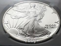 1989 S American Silver Eagle PF 70 Ultra Cameo. 999 Fine Silver Brown Label