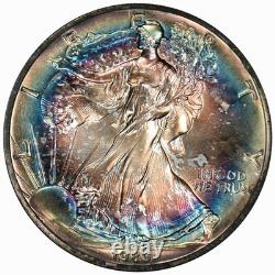 1989 Silver Eagle Unc Beautiful Album Toned Rainbow Target Toning! (Inv#065)