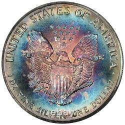 1989 Silver Eagle Unc Beautiful Album Toned Rainbow Target Toning! (Inv#065)