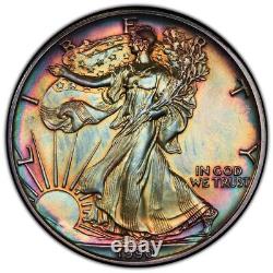 1990 American Silver Eagle 1oz. 999 Rainbow Toned Nice Color UNC Coin