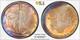 1990 PCGS UNC Detail TONED 1 oz Silver American Eagle SAE $1 US Coin #51913A