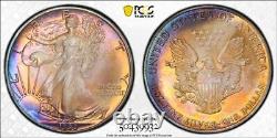 1990 PCGS UNC Detail TONED 1 oz Silver American Eagle SAE $1 US Coin #51913A
