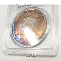 1990 PCGS UNC Detail TONED 1 oz Silver American Eagle SAE $1 US Coin #51913A