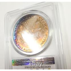 1990 PCGS UNC Detail TONED 1 oz Silver American Eagle SAE $1 US Coin #51913A