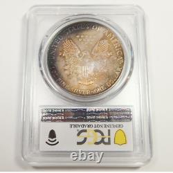 1990 PCGS UNC Detail TONED 1 oz Silver American Eagle SAE $1 US Coin #51913A