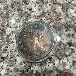 1991 American Eagle Silver with Vibrant Iridescent Toning