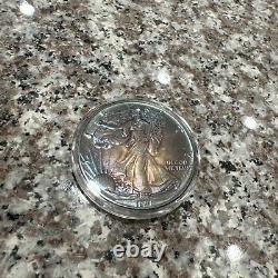 1991 American Eagle Silver with Vibrant Iridescent Toning