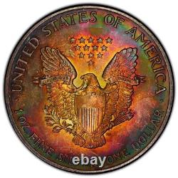 1991 American Silver Eagle 1oz. 999 Monster Rainbow Toned Amazing Eye Appeal
