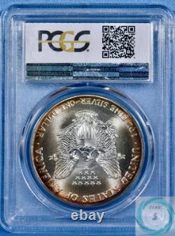 1992 1 oz Silver Eagle PCGS MS69 Mega Monster Toner