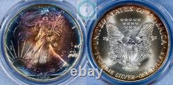 1992 1 oz Silver Eagle PCGS MS69 Mega Monster Toner