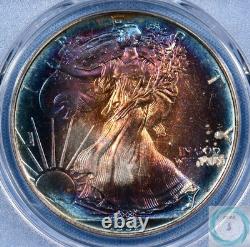 1992 1 oz Silver Eagle PCGS MS69 Mega Monster Toner