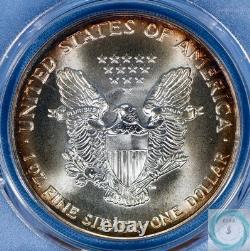 1992 1 oz Silver Eagle PCGS MS69 Mega Monster Toner